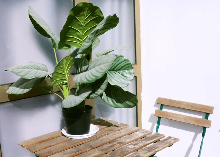 Xixi Проживание в семье *